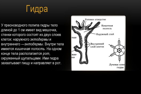 Что за площадка кракен