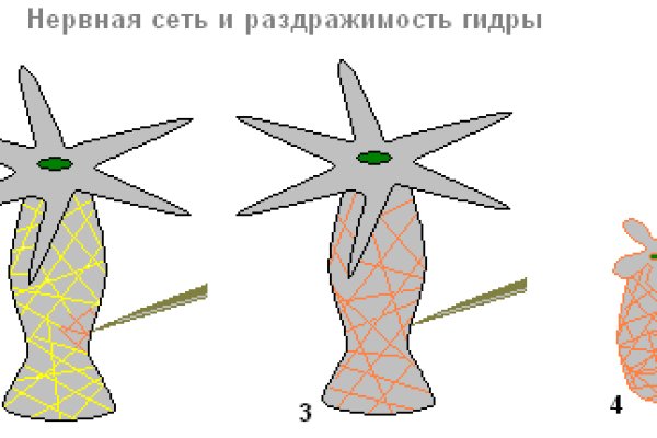 Kra38.cc