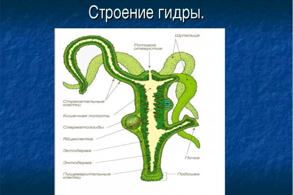 Кракен ссылка призыва нет
