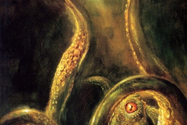 Kraken 12at